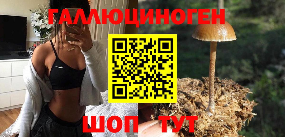 Галлюциногенные грибы Psilocybe Аксай